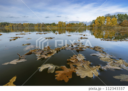 Autumn pond near Trebon, Southern Bohemia, Czech Republic 112343337