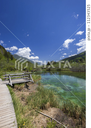 Spring landscape in Zelenci, Slovenia 112343525
