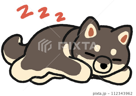 眠る黒柴 112343962