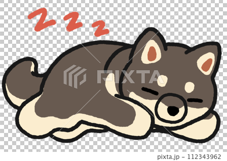 眠る黒柴 112343962