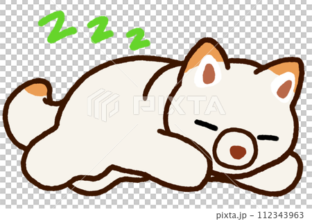 sleeping white shiba 112343963