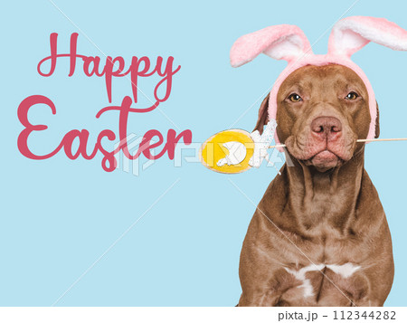 Happy Easter. Brown dog and a basket of Easter eggs 112344282