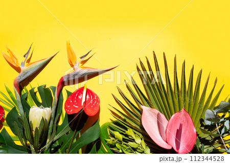 tropical leaves greenery 112344528