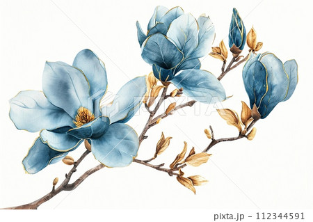 Watercolor branch from light blue magnolia. 112344591
