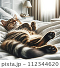 気持ち良さそうにベッドで眠っている猫 112344620