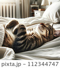 気持ち良さそうにベッドで眠っている猫II 112344747
