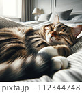 気持ち良さそうに眠っているキジ猫 112344748