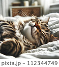 気持ち良さそうにベッドで眠っているキジ猫 112344749