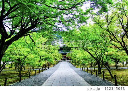 【京都】春の南禅寺 山門前から望む早朝の法堂 【京都】春の南禅寺 山門前から望む早朝の法堂 112345038