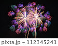 花火 112345241