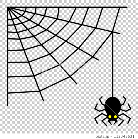 Illustration of a spider spinning a web and waiting for prey such as insects 112345631