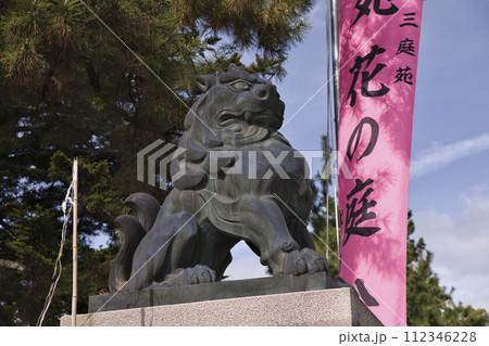 天神さん(北野天満宮)一の鳥居 狛犬吽形2 天神さん(北野天満宮)一の鳥居 狛犬吽形2 112346228