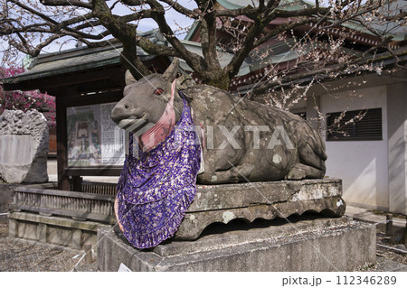 天神さん(北野天満宮)参道 撫で牛14 天神さん(北野天満宮)参道 撫で牛14 112346289