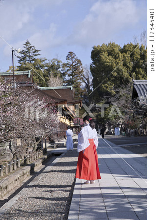 天神さん（北野天満宮）巫女さん　縦構図3 112346401