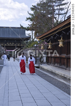 天神さん(北野天満宮)巫女さん 縦構図7 天神さん(北野天満宮)巫女さん 縦構図7 112346405