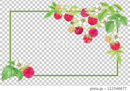Rectangular horizontal frame with raspberry branches. Place for an inscription. Watercolor illustration. Ripe berries for decorating cookbooks, recipes, kitchen utensils, dishes, food packaging. 112346677