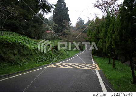 The walk way near the Alishan train station in Alishan nation park. The walk way near the Alishan train station in Alishan nation park. 112348549