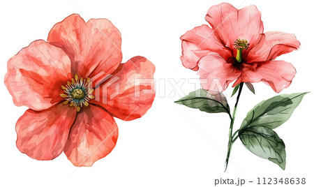 Hand drawn flower design elements Hand drawn flower design elements 112348638