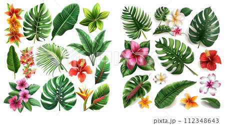 Highly detailed colorful plant collection. Botanical elements for cosmetics Highly detailed colorful plant collection. Botanical elements for cosmetics 112348643