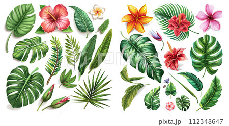 Vector realistic illustration set of tropical leaves and flowers 112348647