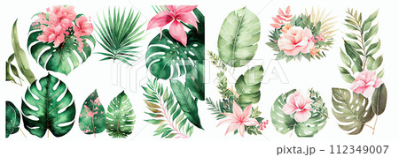 Elegant Collection of Watercolor Tropical Leaves and Flowers, Perfect for Invitations, Greetings, and Wall Art 112349007