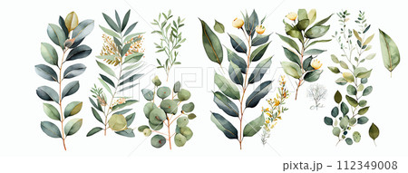 Elegant Collection of Watercolor Greenery and Flowers, Hand-Painted Botanical Illustrations for Invitations, Decor Elegant Collection of Watercolor Greenery and Flowers, Hand-Painted Botanical Illustrations for Invitations, Decor 112349008