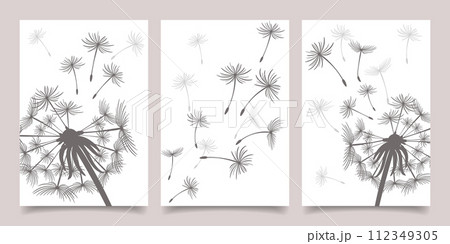 Set of cards, posters with dandelions. Black dandelion seeds fly in the wind. Collection of nature cards. Vector 112349305