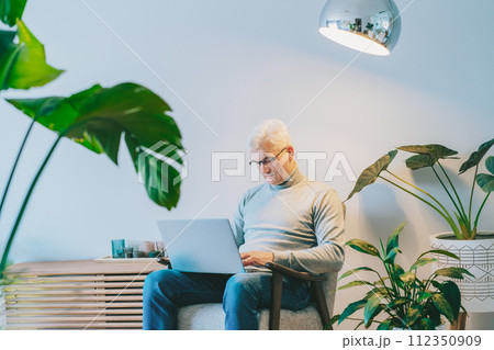 Concentrated gray hair middle-aged man working on laptop while sitting in armchair at home. Confident, experienced senior male professional. Small business entrepreneur manage business at home. 112350909