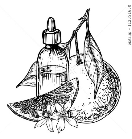 Orange Essential Oil with slices of Fruit. Hand drawn vector illustration of vintage transparent Bottle for aroma therapy in line art style. Retro flacon for cosmetic citrus flavor in black colors. 112351630