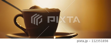 Delicious cup of ice cream sits on table in front of window, basking in natural light. For advertising, banner, relaxation, lifestyle, menu, food, dessert, culinary or cafe themed content. Copy space. Delicious cup of ice cream sits on table in front of window, basking in natural light. For advertising, banner, relaxation, lifestyle, menu, food, dessert, culinary or cafe themed content. Copy space. 112351856