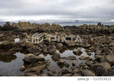 Beach of the Atlantic ocean, Westfjords, Iceland 112353015