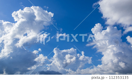 真夏の青空にあらわれた積乱雲 真夏の青空にあらわれた積乱雲 112353135