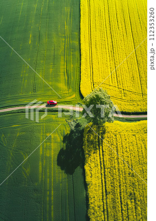toscana countryside  fields, a small red car on a narrow road 112353260