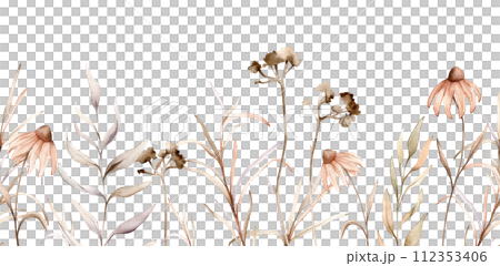 seamless border with watercolor botanical autumn illustration echinacea branches flowers. Autumn floral illustration. Fall vibes. Hand painted drawing isolated background. floral herds pastel color 112353406