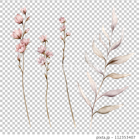 Set of watercolor botanical autumn illustration branches and flowers. Autumn floral illustration. Fall vibes. Hand painted drawing isolated on white background. elegant floral herds pastel color 112353407