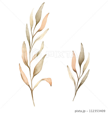 Set of watercolor botanical autumn illustration branches. Autumn floral illustration. Fall vibes. Hand painted drawing isolated on white background. elegant floral herds pastel color. Cute plants 112353409