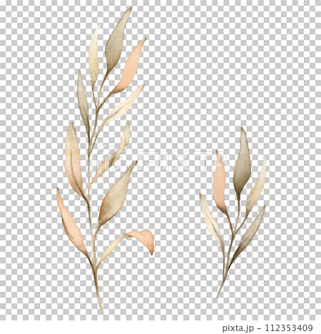 Set of watercolor botanical autumn illustration branches. Autumn floral illustration. Fall vibes. Hand painted drawing isolated on white background. elegant floral herds pastel color. Cute plants 112353409
