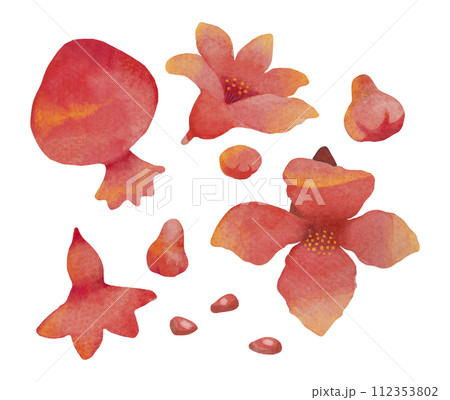 Watercolor pomegranate fruits with seeds and flowers clipart. Botanical illustration set. 112353802
