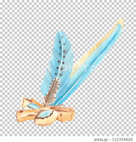 Watercolor composition from small sea shells and pebbles, wooden stocks and blue feathers isolated on white background. Botanical hand drawn illustration. 112354020