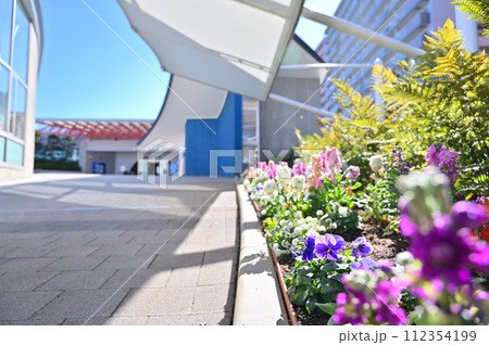 しながわ水族館 しながわ水族館 112354199