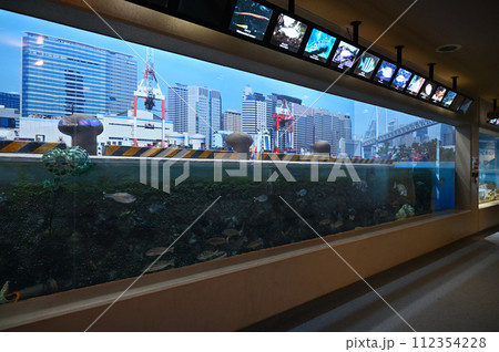 しながわ水族館 しながわ水族館 112354228