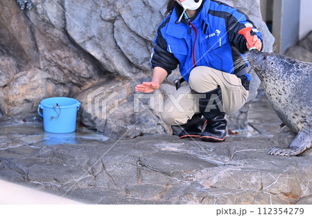 しながわ水族館 ゴマフアザラシ アザラシショー しながわ水族館 ゴマフアザラシ アザラシショー 112354279