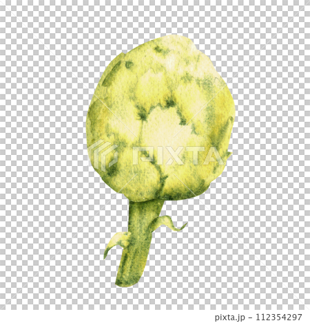 Watercolor artichoke. Hand painted vegetable illustration in vintage style isolated on a white background. 112354297