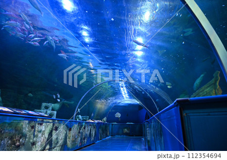 しながわ水族館 112354694