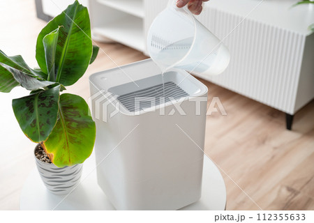 Modern air humidifier in living room Modern air humidifier in living room 112355633