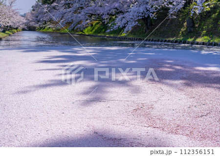 東北の春絶景　弘前城外堀の花筏 112356151