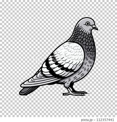 はと　イラスト　かわいい　動物 112357441