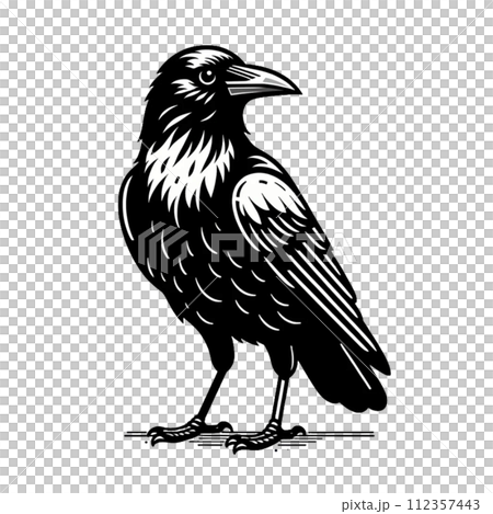 カラス　イラスト　かわいい　動物 112357443