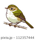 ウグイス　イラスト　かわいい　動物 112357444