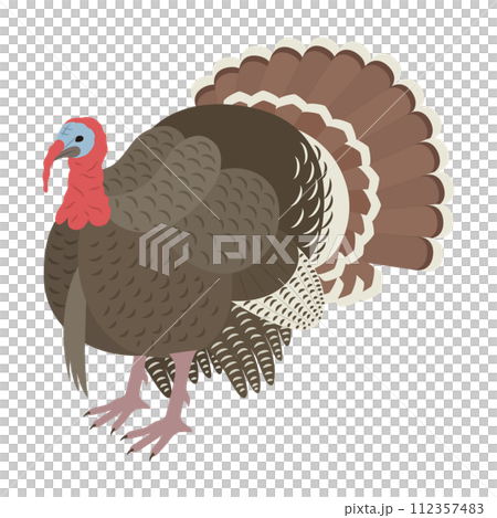 Turkey illustration 112357483